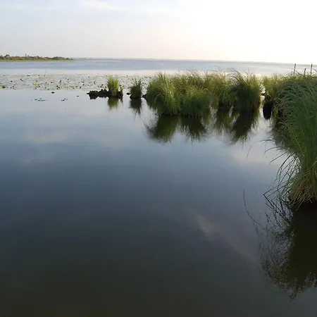 Maison Calme Avec Jardin Clos, Pres De Pornic Et Nantes, Wifi Et Equipements Bebe Inclus - Fr-1-306-1239 Saint-Hilaire-de-Chaleons