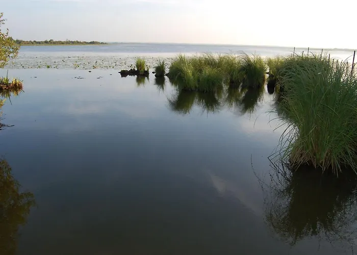 Maison Calme Avec Jardin Clos, Pres De Pornic Et Nantes, Wifi Et Equipements Bebe Inclus - Fr-1-306-1239 Saint-Hilaire-de-Chaleons